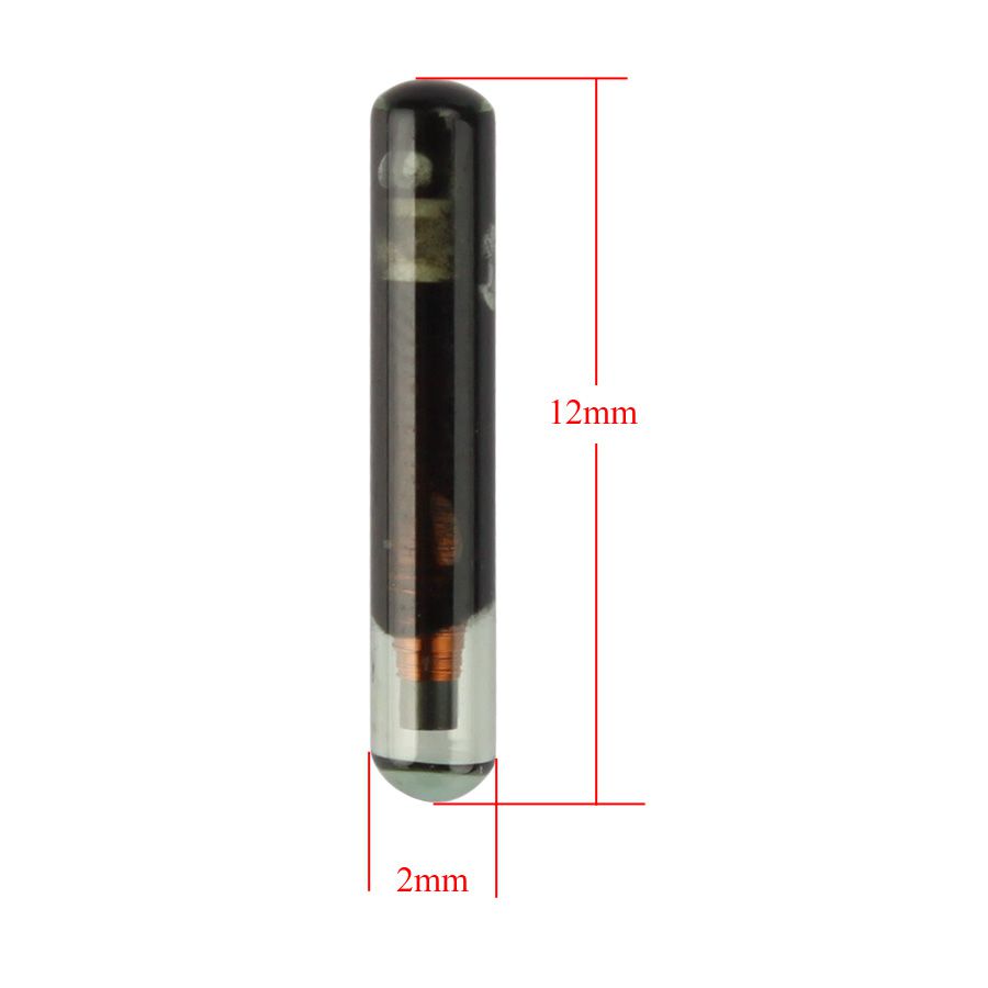 Leerer MINI ID4C Glasschip (kleinere Größe) 10pcs /lot
