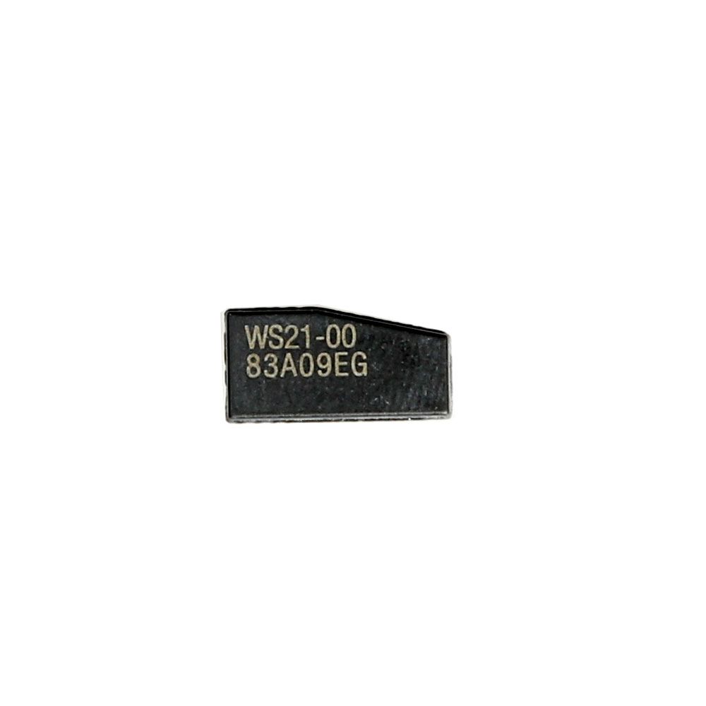 Leerer WS21 -4D Chip 128Bit zur Generierung von H Chip 10pcs /Los