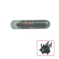 ID13 Glass Transponder Chip für GM 10pcs /Los
